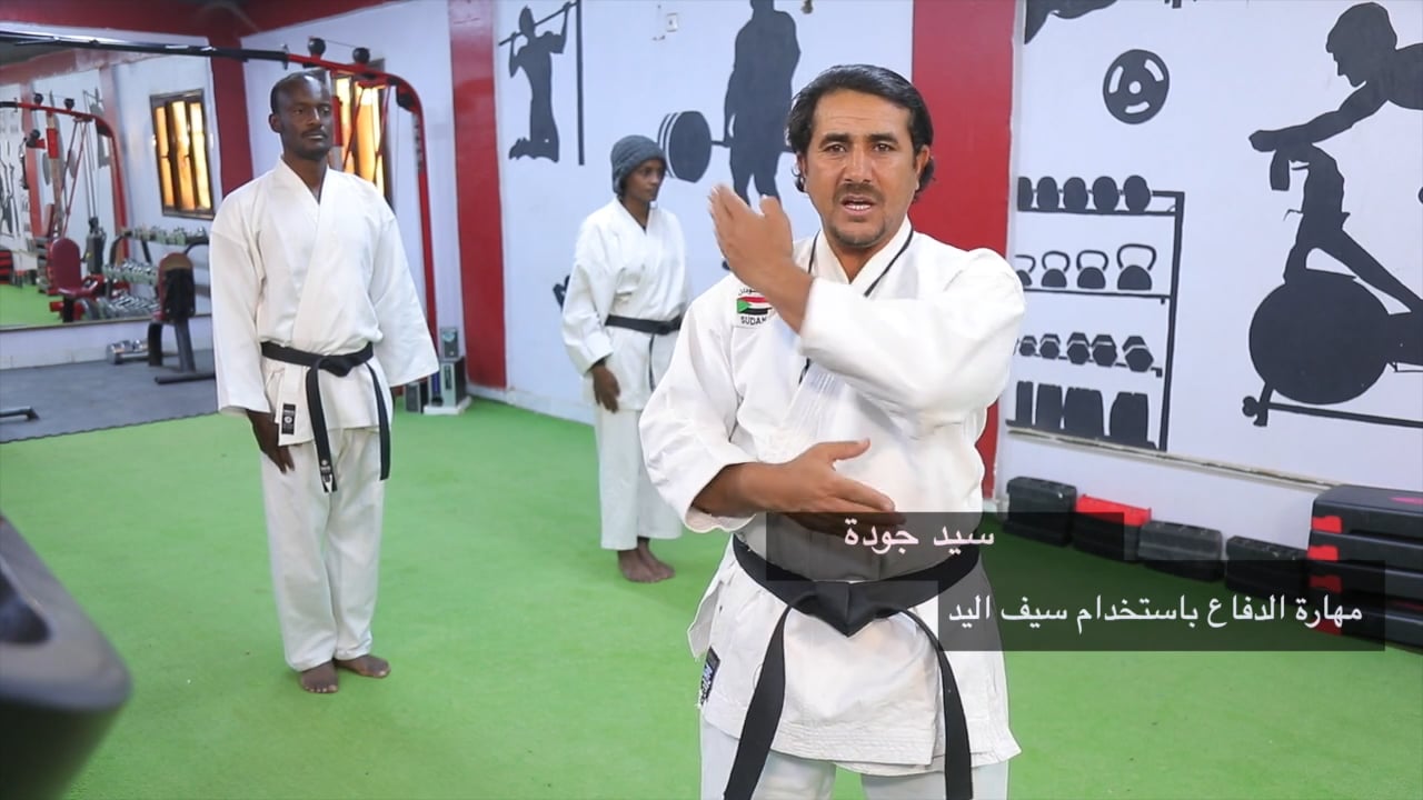 مهارة الدفاع باستخدام سيف اليد